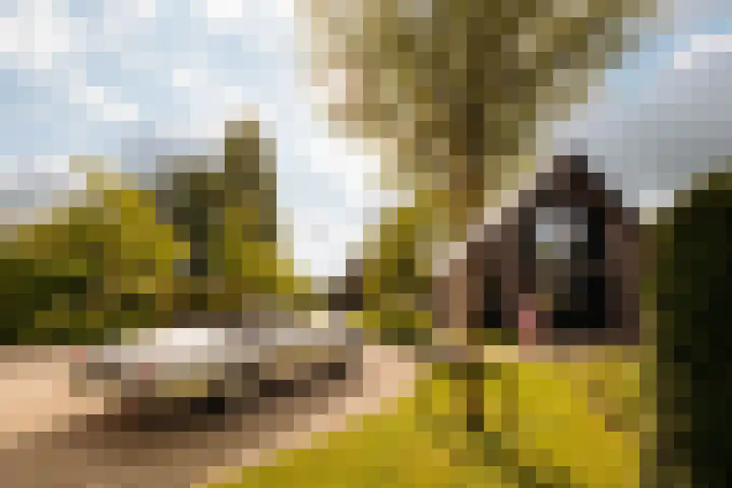 Stationsstraat 44 Abcoude thumbnail 58