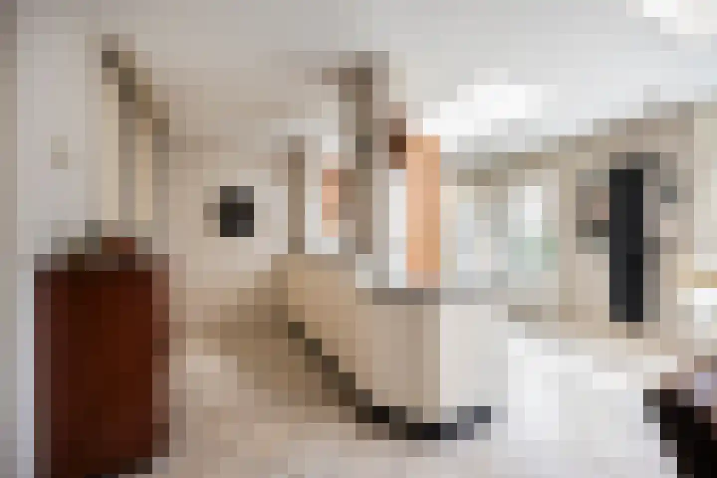 Stationsstraat 46 Pijnacker thumbnail 22