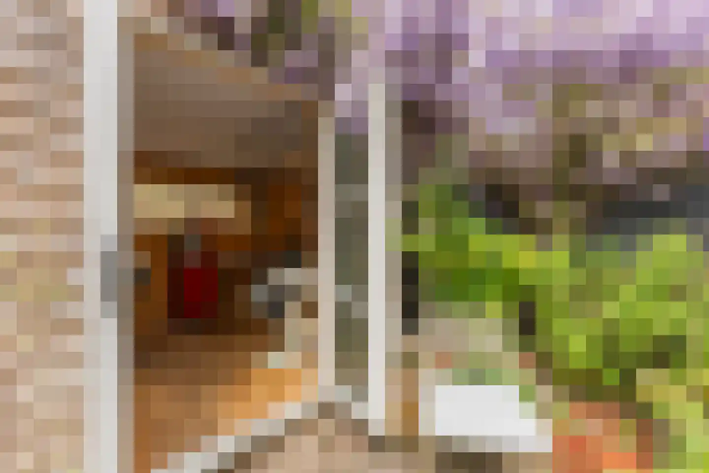 Stationsstraat 46 Zaandam thumbnail 21