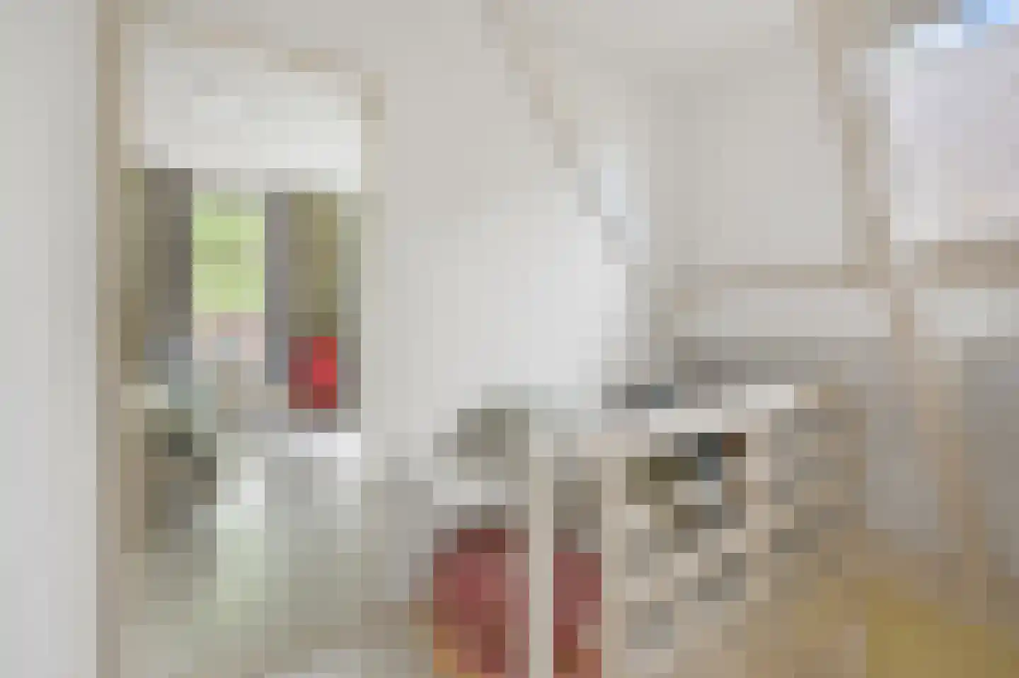 Stationsstraat 46 Zaandam thumbnail 33