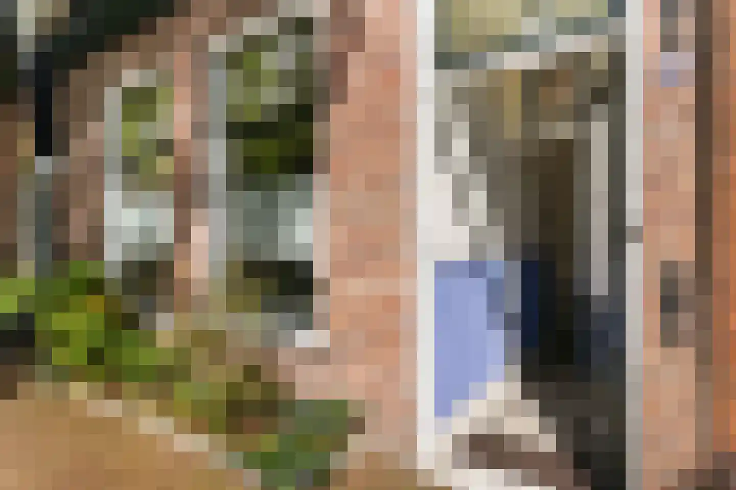Stationsstraat 46 Zaandam thumbnail 47