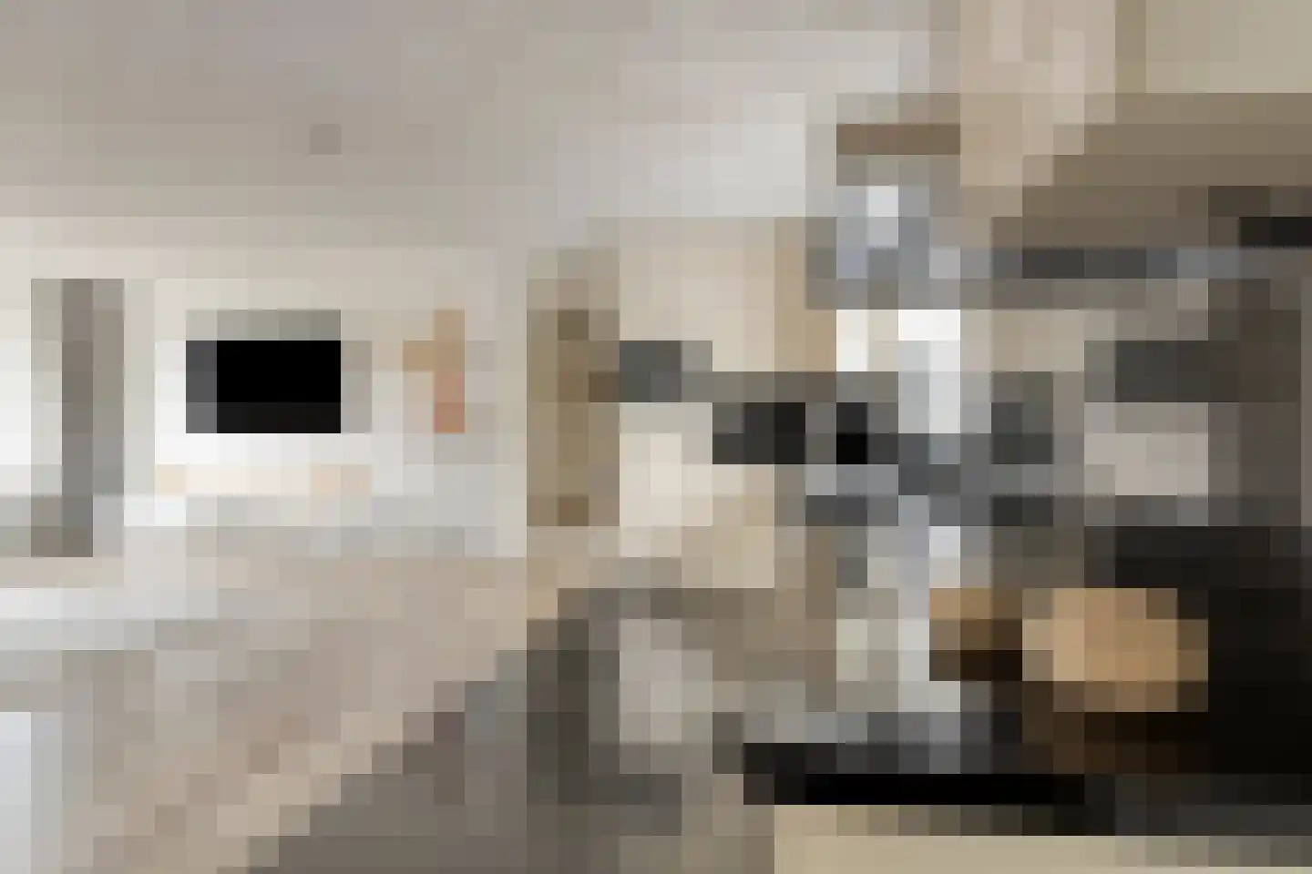 Stationsstraat 48 Made thumbnail 11