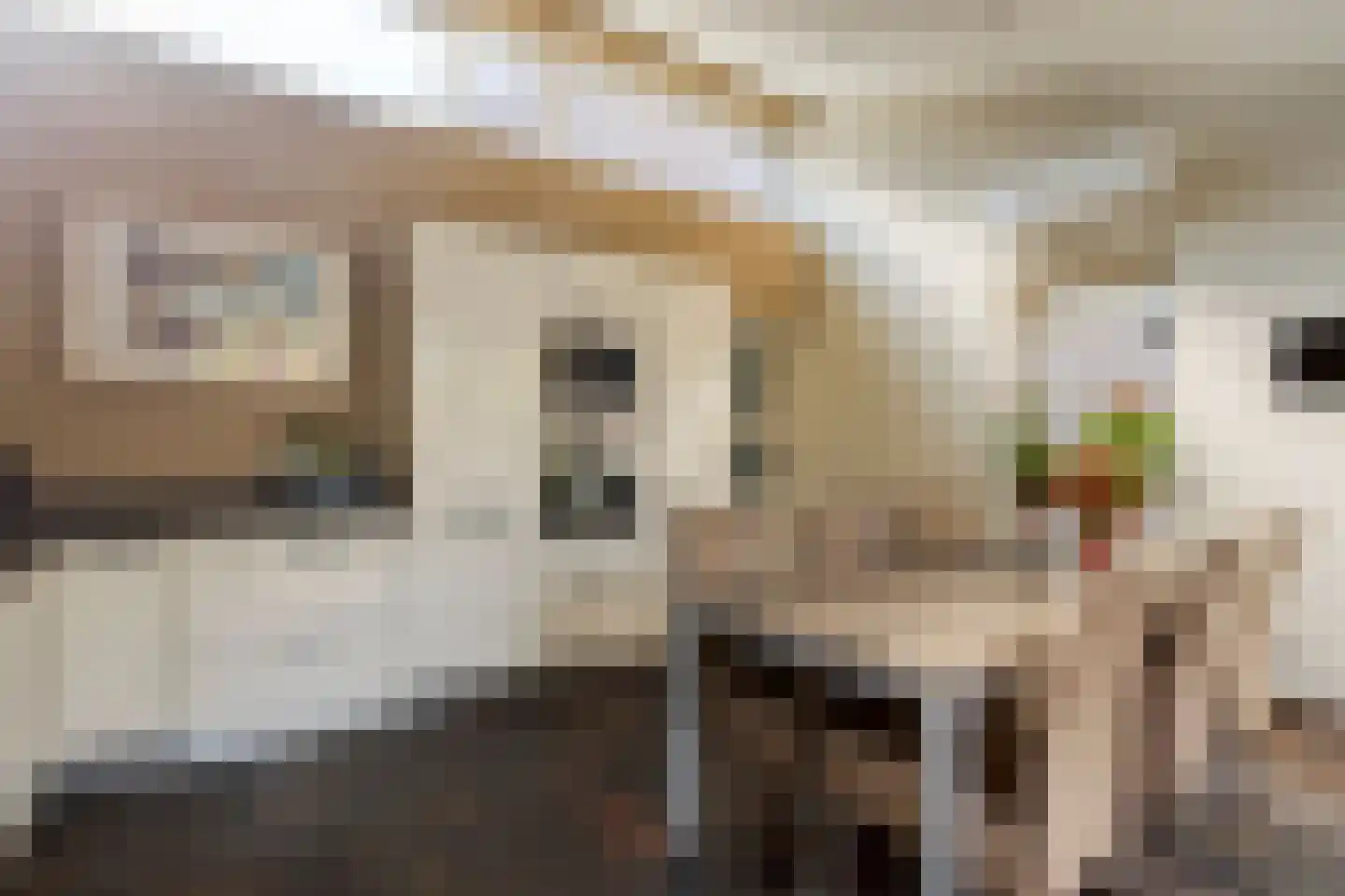 Stationsstraat 49 Molenhoek thumbnail 16