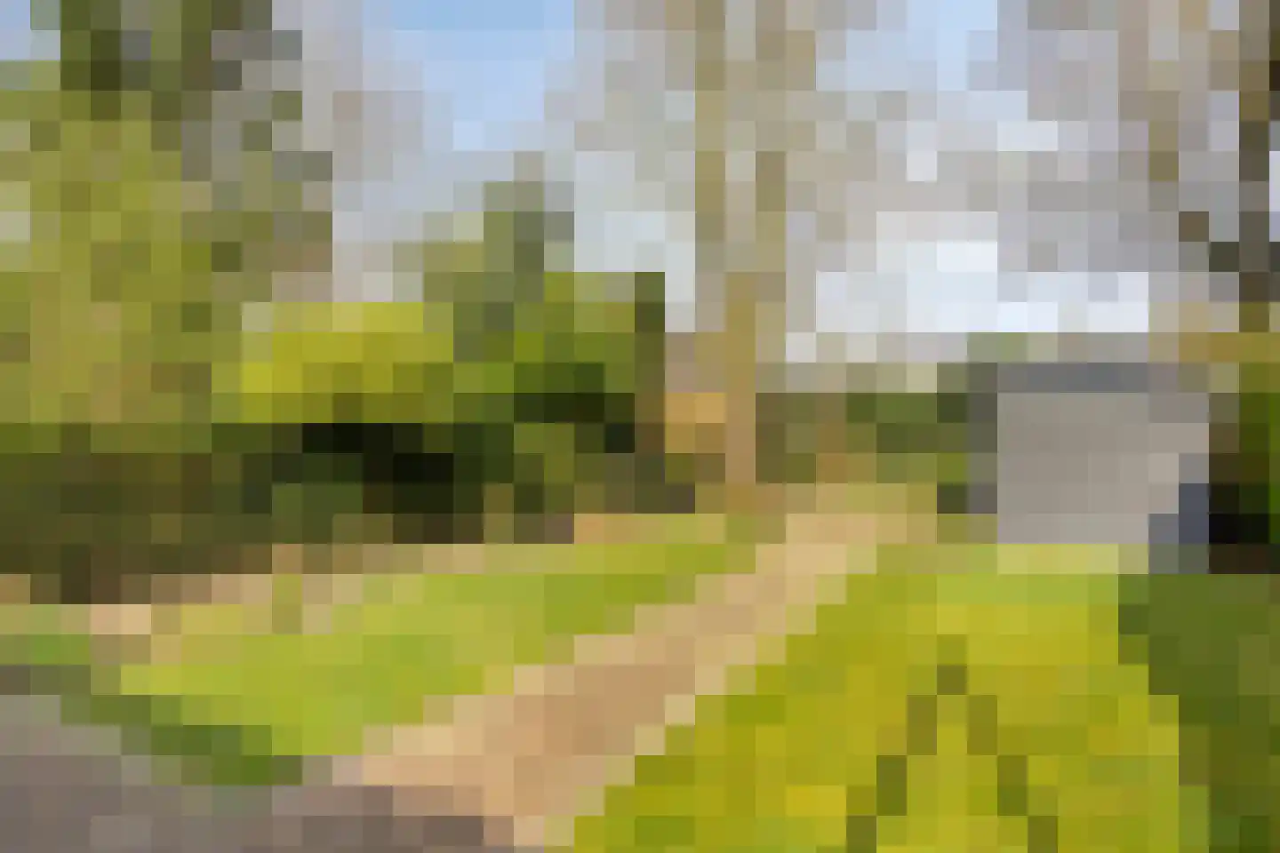 Stationsstraat 49 Molenhoek thumbnail 4