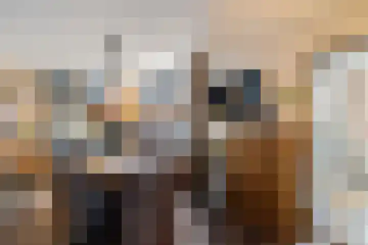 Stationsstraat 5 Musselkanaal thumbnail 12