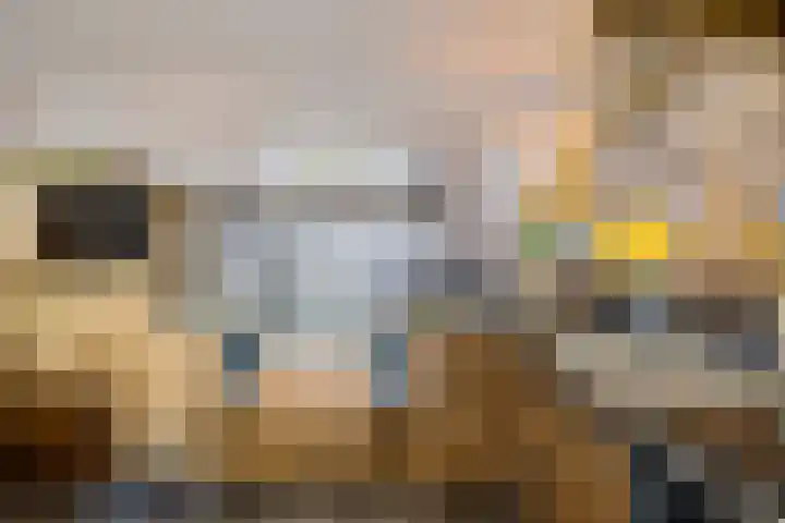 Stationsstraat 5 Musselkanaal thumbnail 17