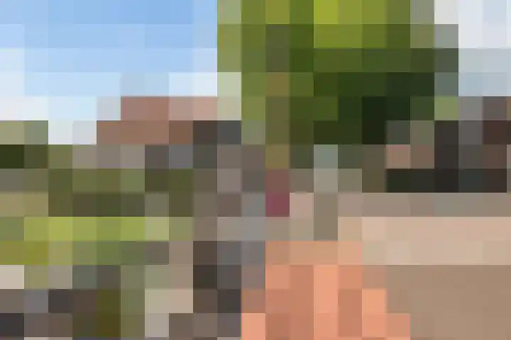 Stationsstraat 5 Musselkanaal thumbnail 7