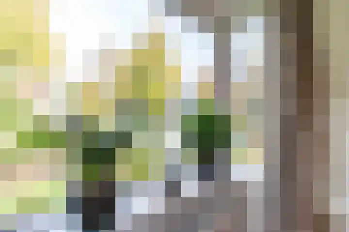 Stationsstraat 5 Sauwerd thumbnail 34
