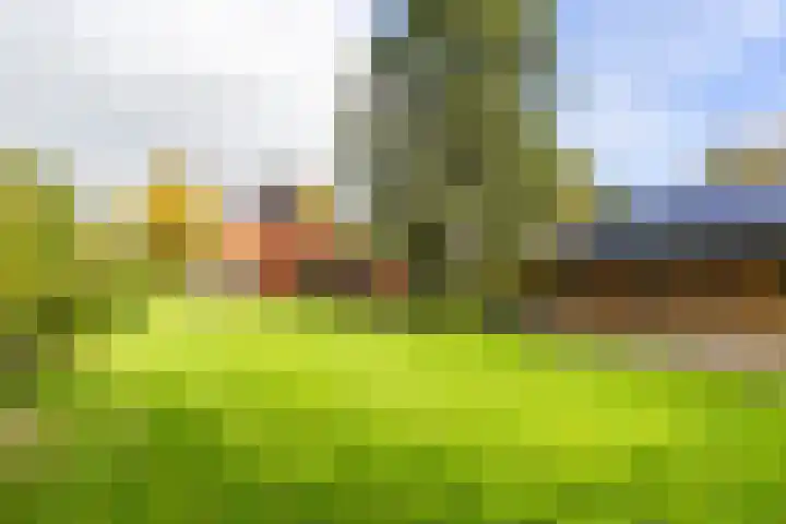 Stationsstraat 5 Sauwerd thumbnail 4