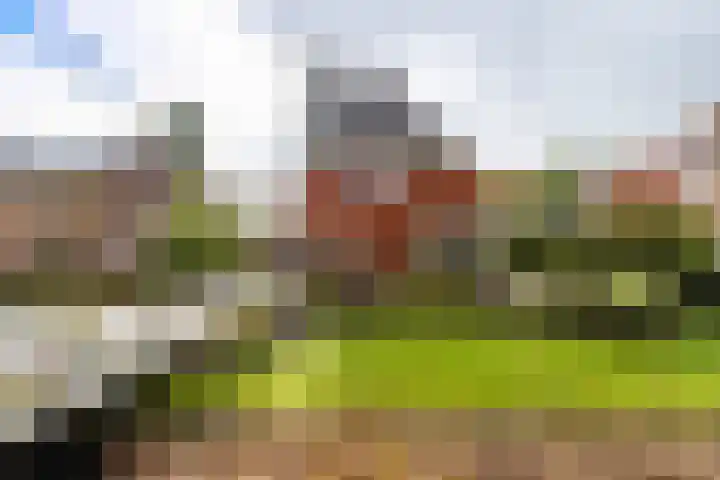 Stationsstraat 5 Sauwerd thumbnail 5