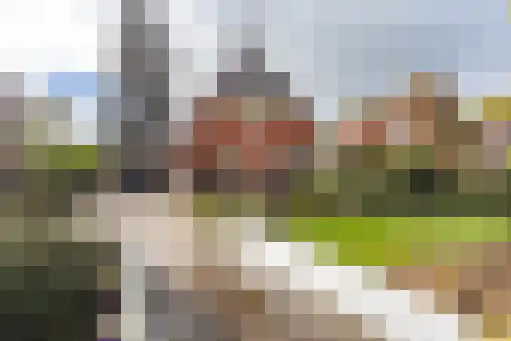 Stationsstraat 5 Sauwerd thumbnail 6