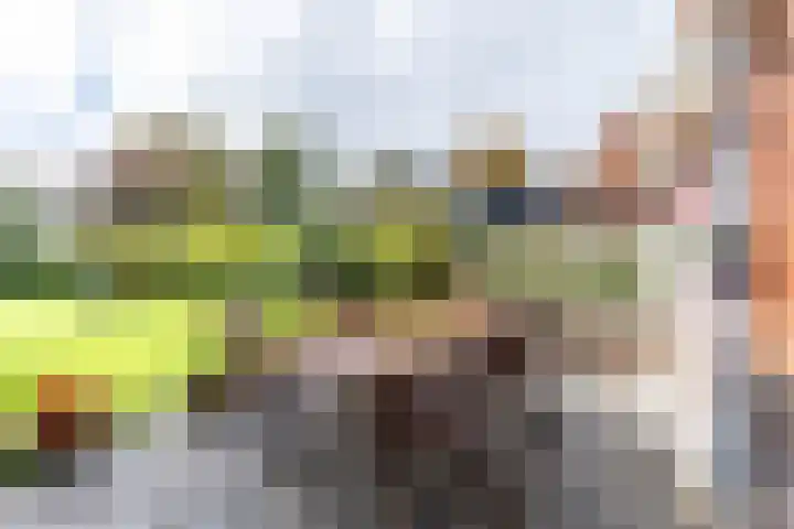 Stationsstraat 5 Sauwerd thumbnail 61
