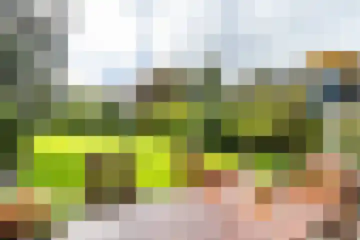Stationsstraat 5 Sauwerd thumbnail 62