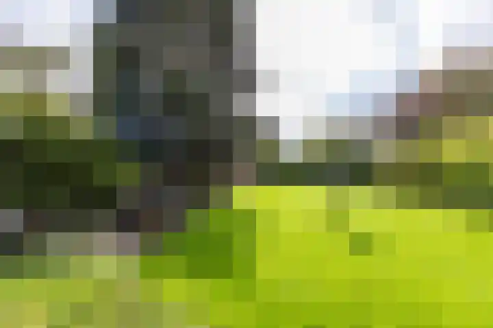 Stationsstraat 5 Sauwerd thumbnail 64