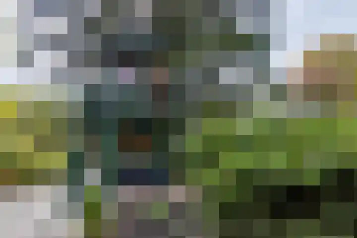 Stationsstraat 5 Sauwerd thumbnail 65