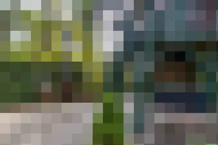 Stationsstraat 5 Sauwerd thumbnail 66