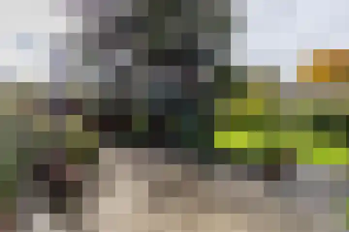 Stationsstraat 5 Sauwerd thumbnail 67