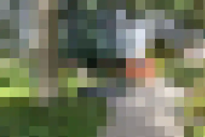 Stationsstraat 5 Sauwerd thumbnail 72