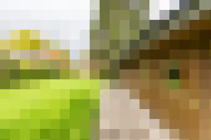 Stationsstraat 5 Sauwerd thumbnail 75