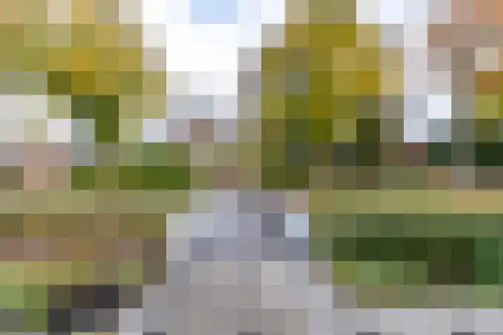 Stationsstraat 5 Sauwerd thumbnail 81