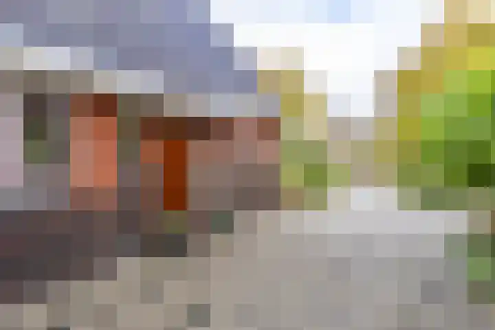 Stationsstraat 5 Sauwerd thumbnail 9