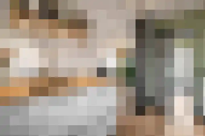 Stationsstraat 50 Zevenaar thumbnail 21