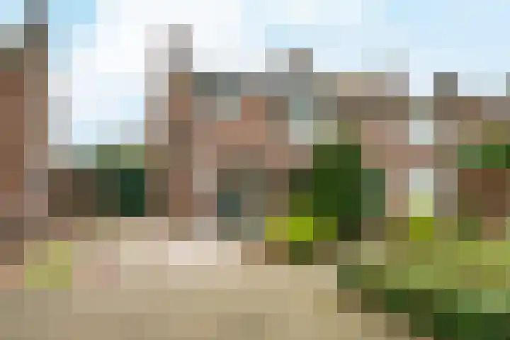 Stationsstraat 50 Zevenaar thumbnail 69
