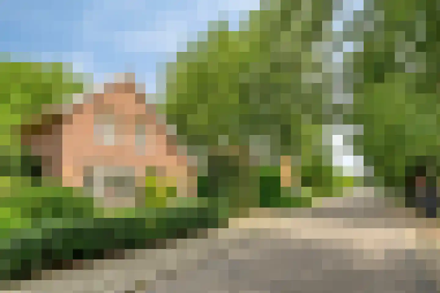 Stationsstraat 53 Molenhoek thumbnail 43