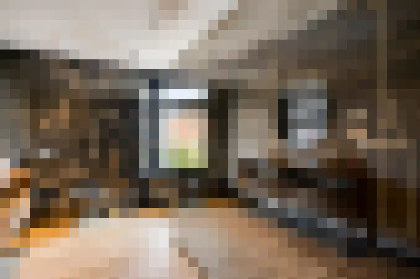 Stationsstraat 54 Swalmen thumbnail 37
