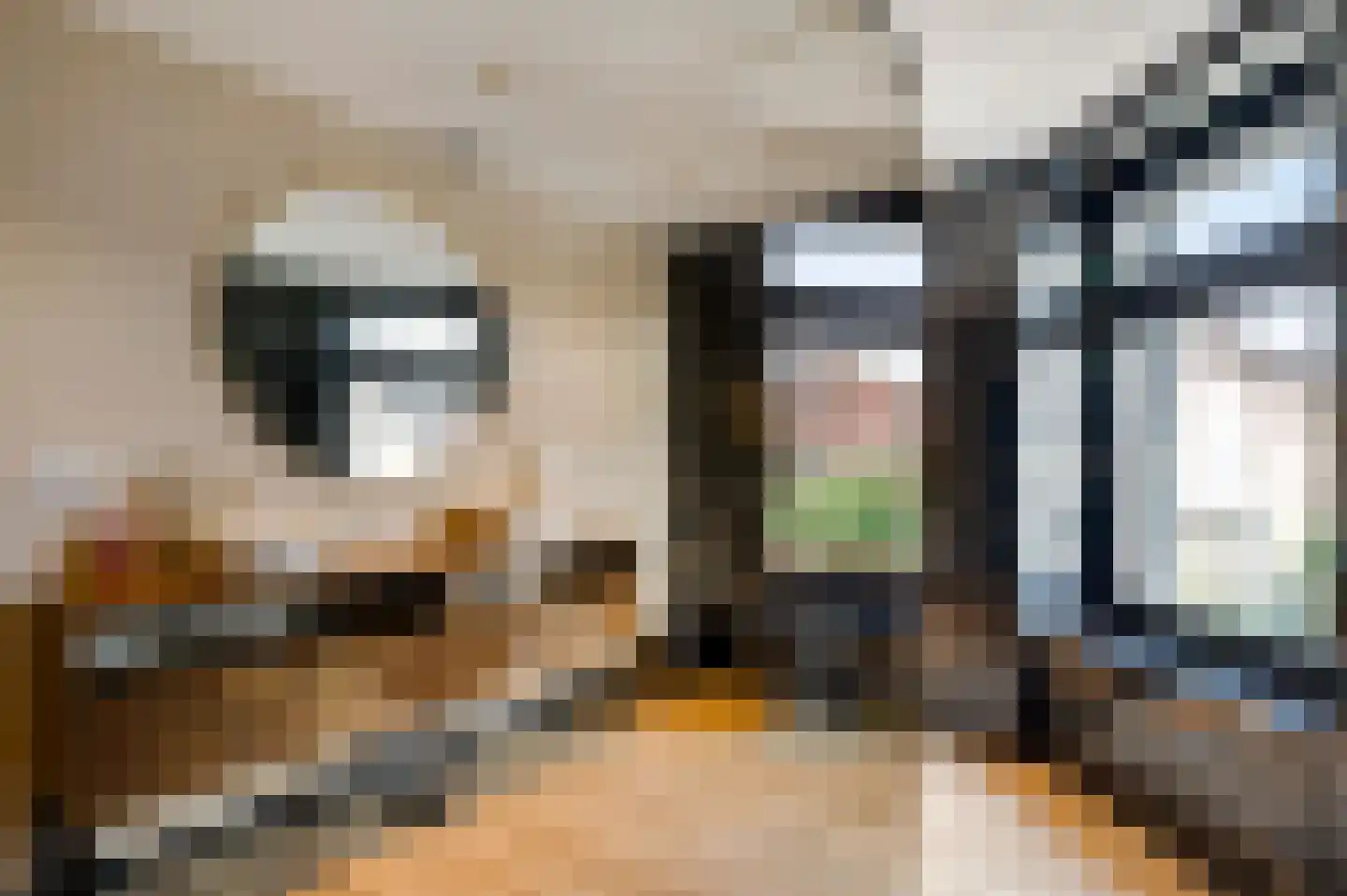 Stationsstraat 54 Swalmen thumbnail 40