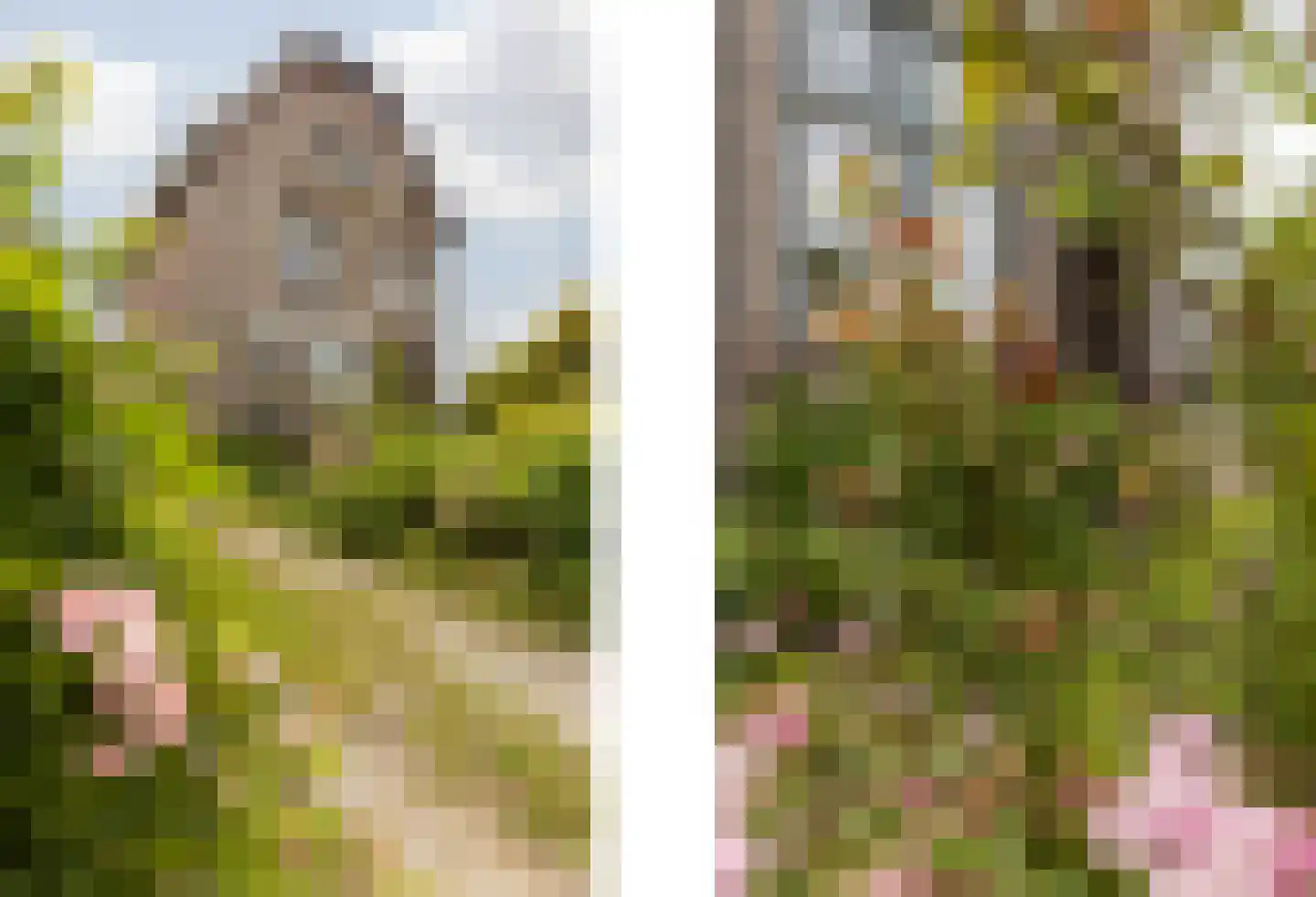 Stationsstraat 56 Elsloo thumbnail 11