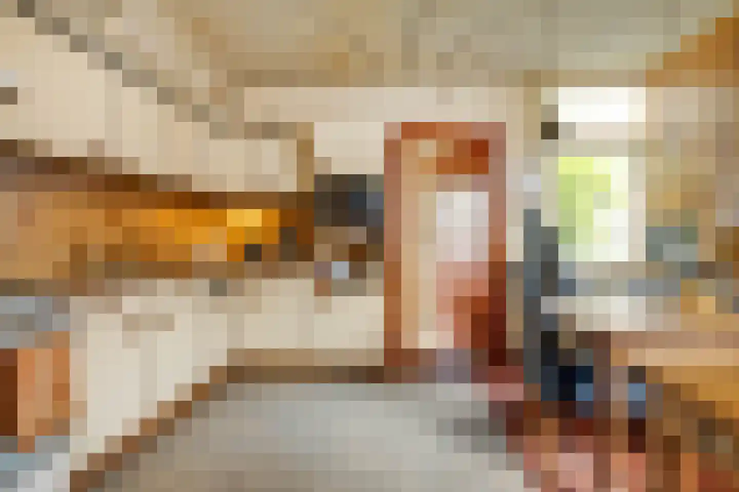 Stationsstraat 56 Elsloo thumbnail 29
