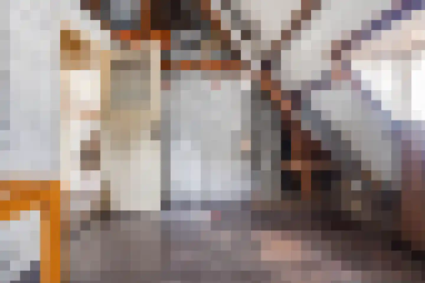 Stationsstraat 56 Elsloo thumbnail 41