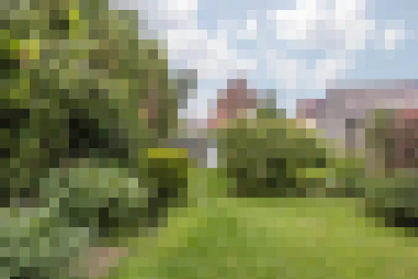 Stationsstraat 56 Elsloo thumbnail 51