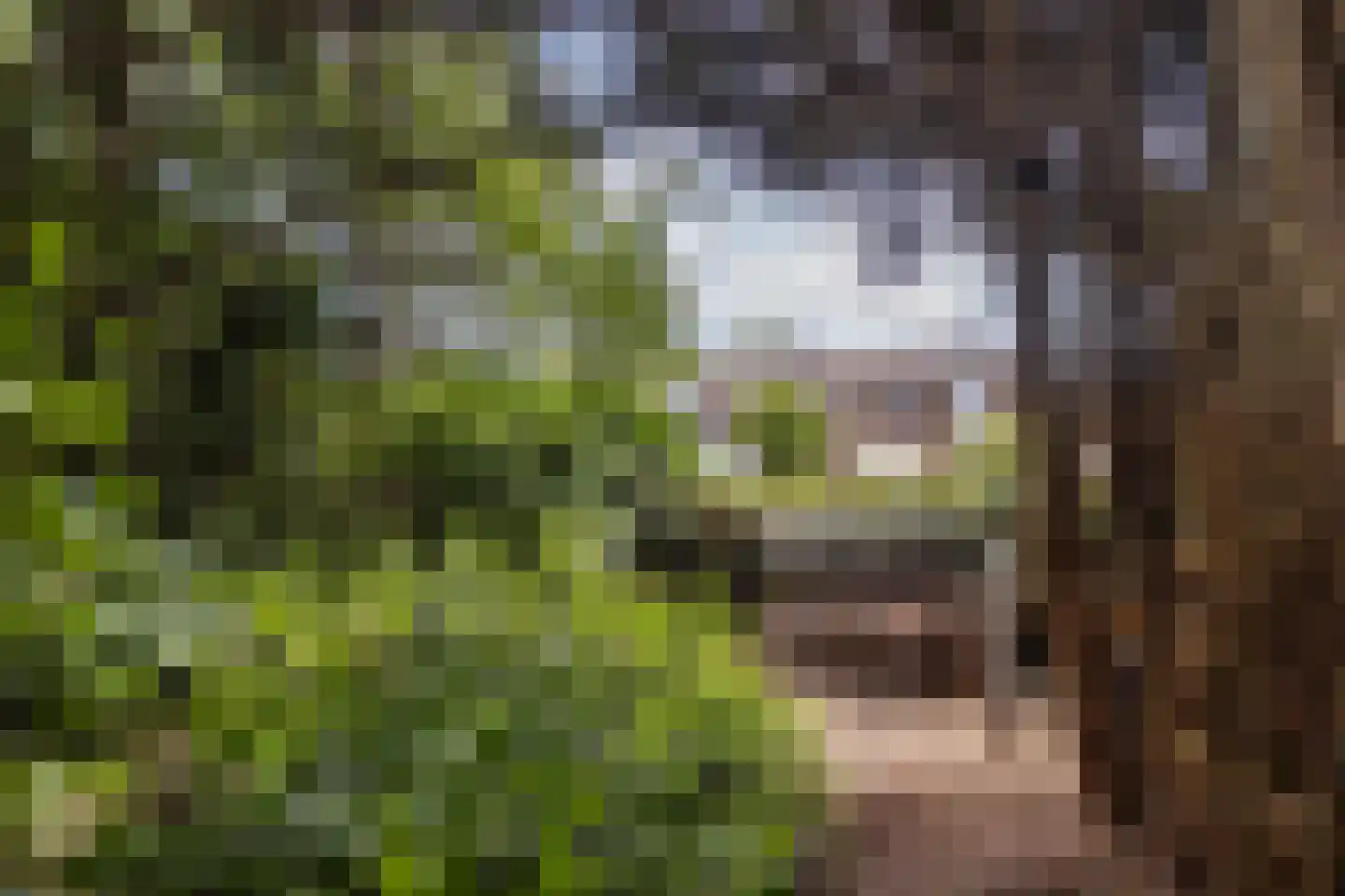 Stationsstraat 56 Elsloo thumbnail 52