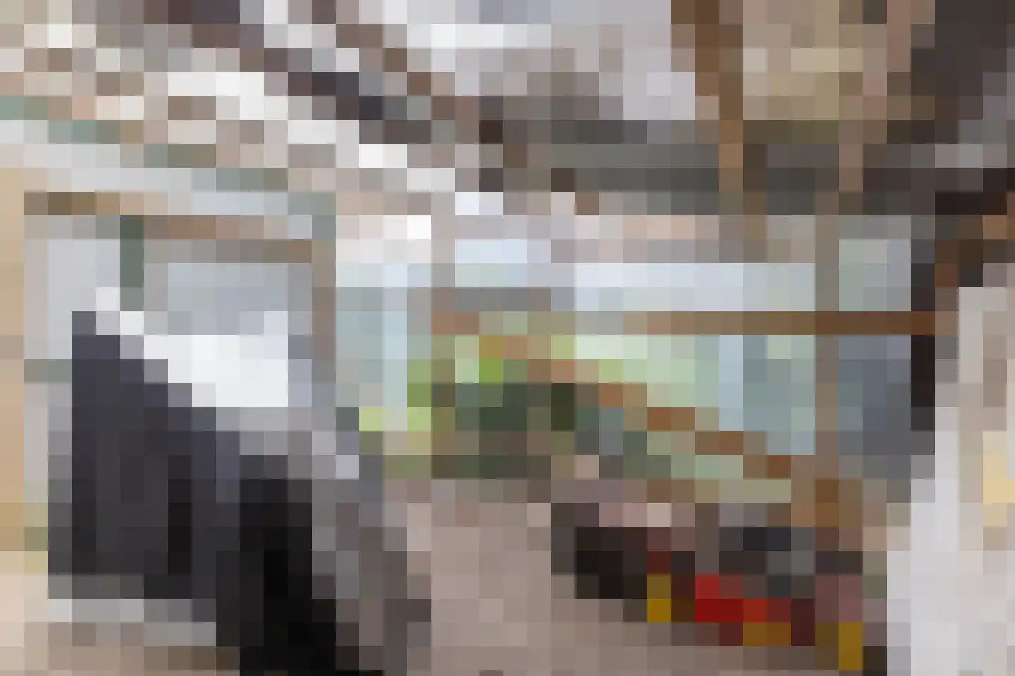 Stationsstraat 56 Elsloo thumbnail 64