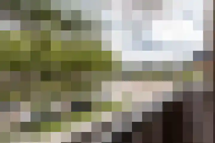 Stationsstraat 56 Geldrop thumbnail 7