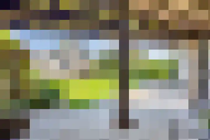 Stationsstraat 57 Veenendaal thumbnail 36