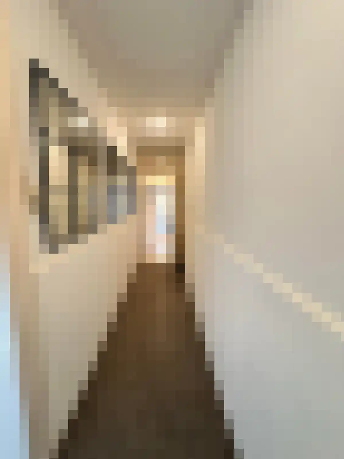 Stationsstraat 59 Zaandam thumbnail 7
