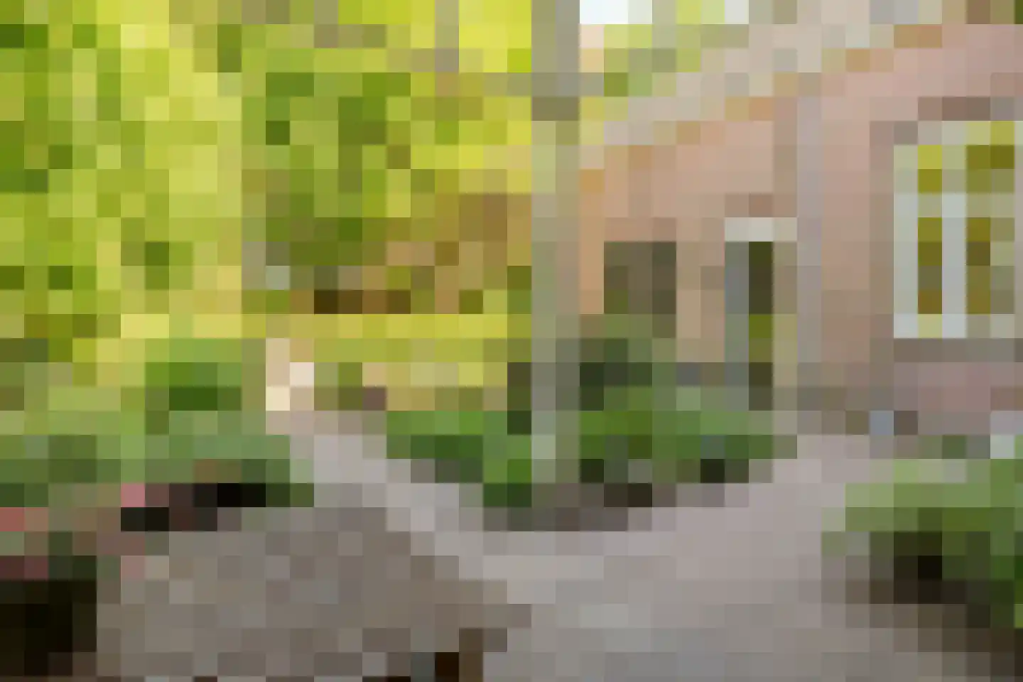 Stationsstraat 6 Rijen thumbnail 28