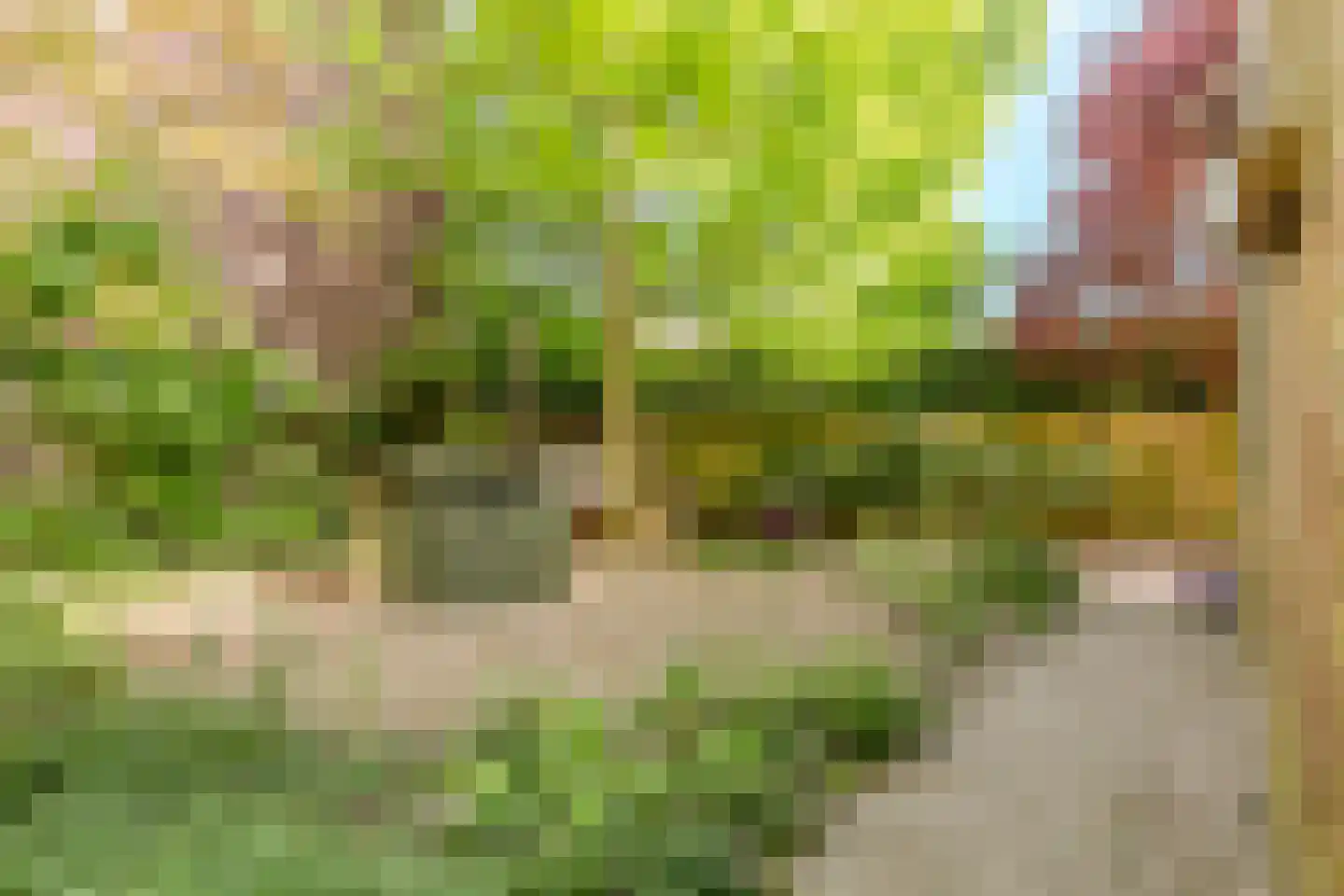 Stationsstraat 6 Rijen thumbnail 30