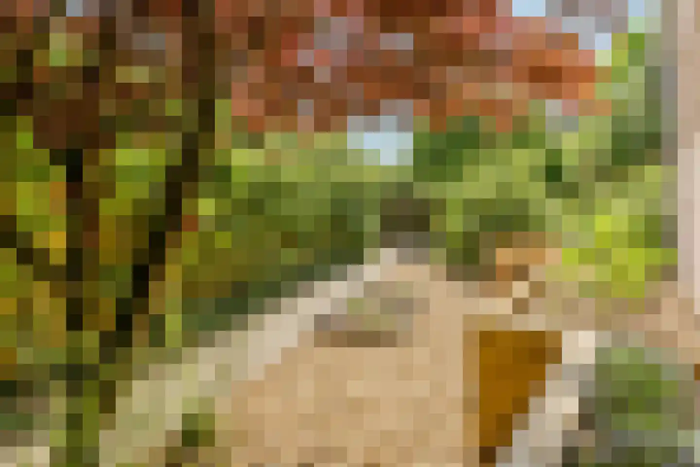 Stationsstraat 6 Rijen thumbnail 31