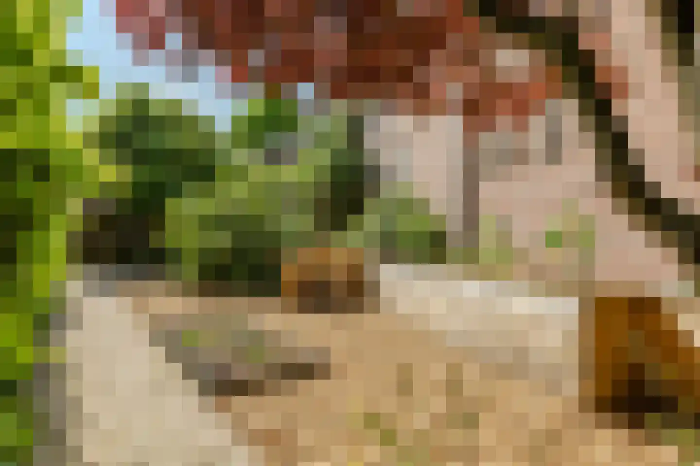 Stationsstraat 6 Rijen thumbnail 32