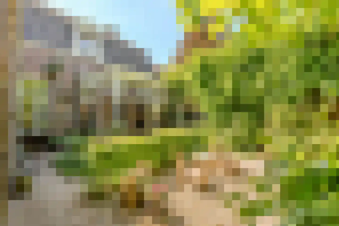 Stationsstraat 6 Rijen thumbnail 4