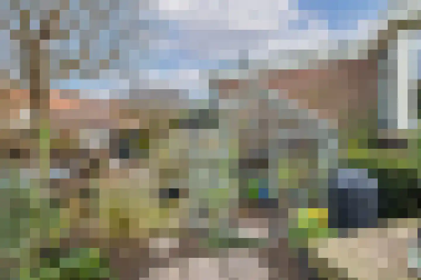 Stationsstraat 6 Vleuten thumbnail 28
