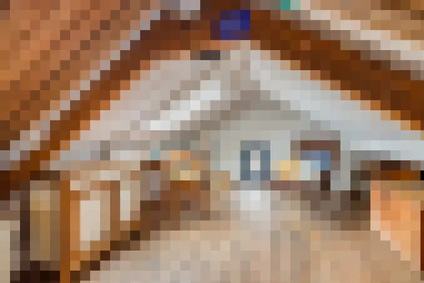 Stationsstraat 6 Vleuten thumbnail 44