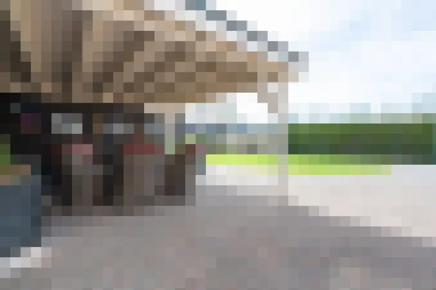 Stationsstraat 63 Putten thumbnail 32