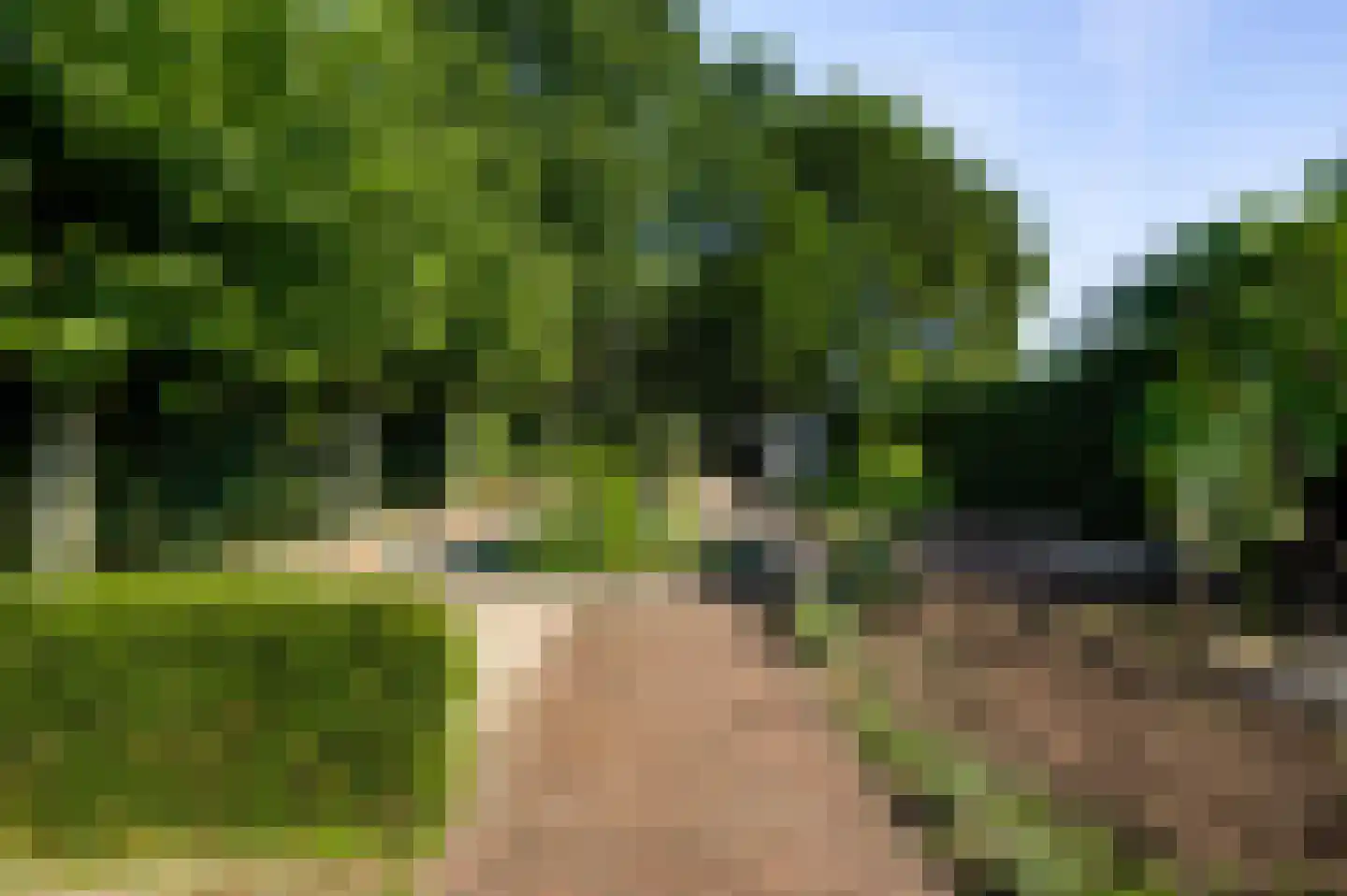 Stationsstraat 64 Maarheeze thumbnail 37