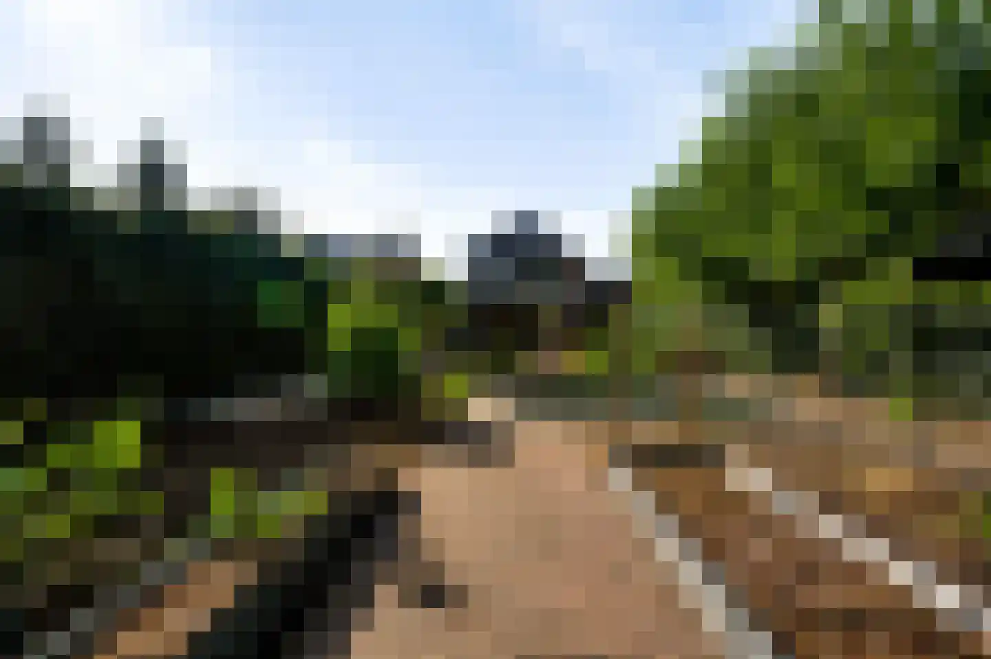 Stationsstraat 64 Maarheeze thumbnail 43