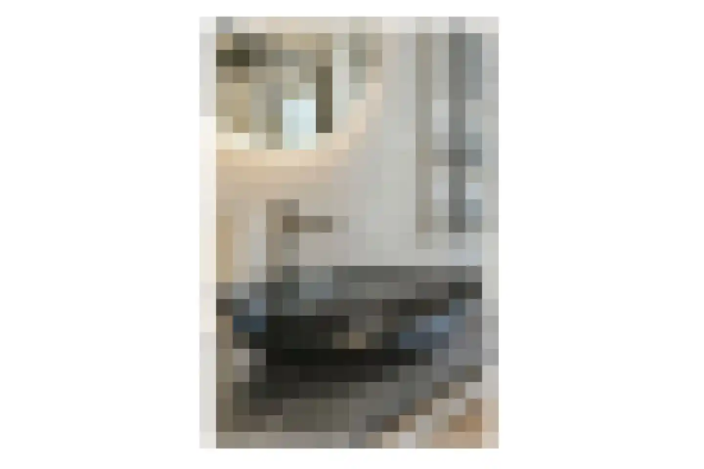 Stationsstraat 65 B Zaandam thumbnail 14